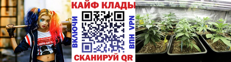 Где можно купить наркотики Сунжа hydra как войти  Альфа ПВП  ГАШИШ  Cocaine 