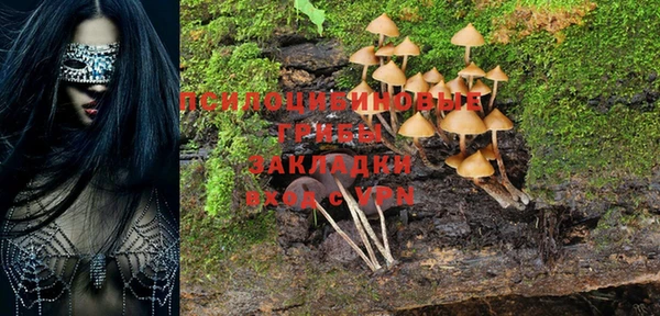 PSILOCYBIN Алексеевка