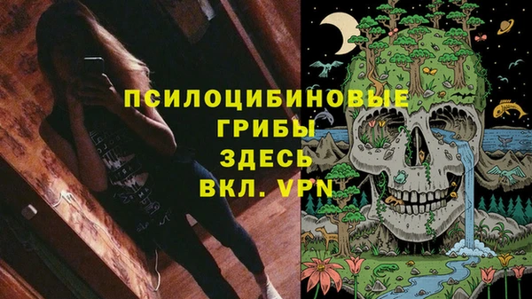 PSILOCYBIN Алексеевка