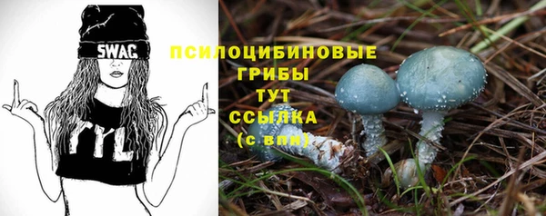 PSILOCYBIN Алексеевка