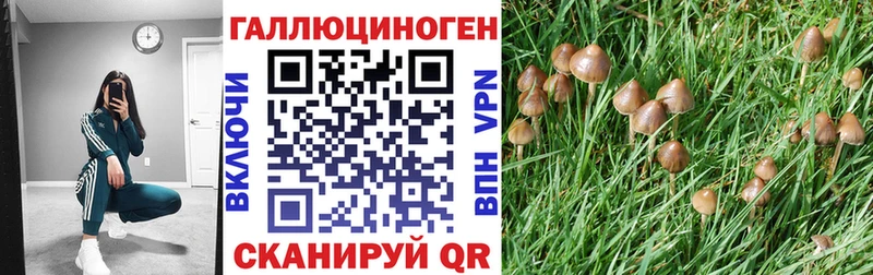 Псилоцибиновые грибы мицелий  ОМГ ОМГ вход  Сунжа  даркнет сайт 